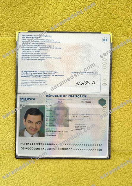 France passport photo look